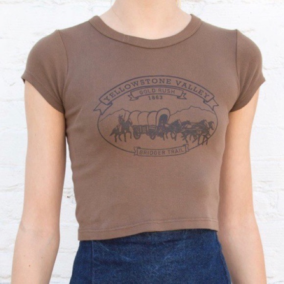 ‼️sold‼️brandy melville ashlyn top - Picture 1 of 2